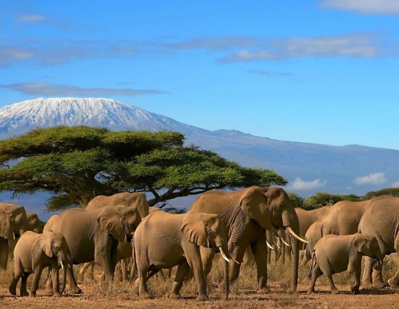 6 Days Samburu Mt Kenya Budget Camping Safari