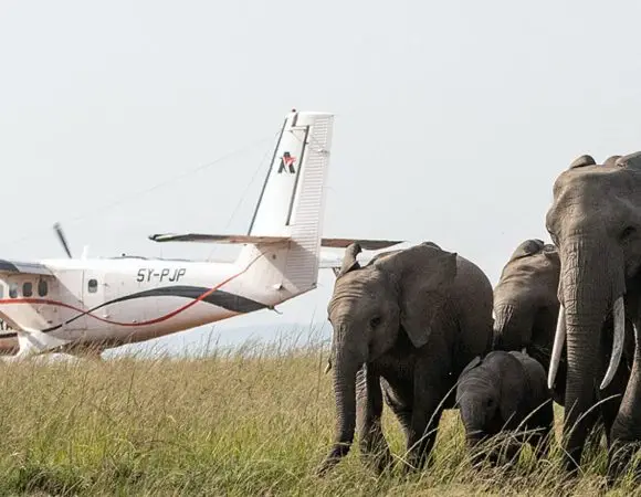 3 Days Masai Mara Flying Safari