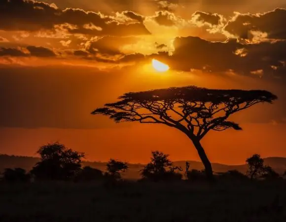 8 Days Mt Kilimanjaro Climbing Machame Route