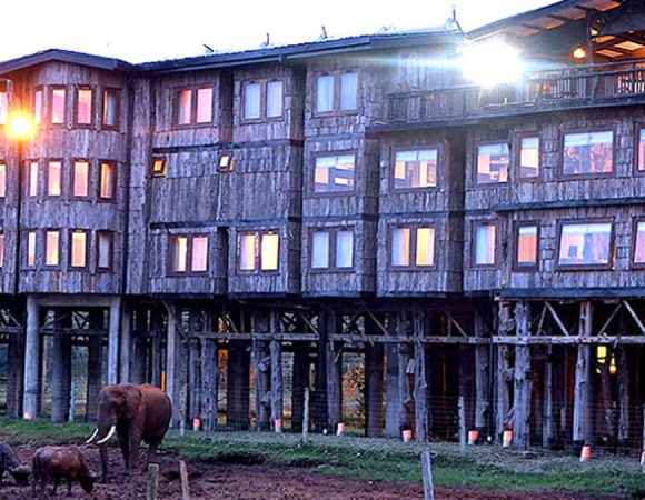10 Days Budget Camping & Beach Holiday Safari